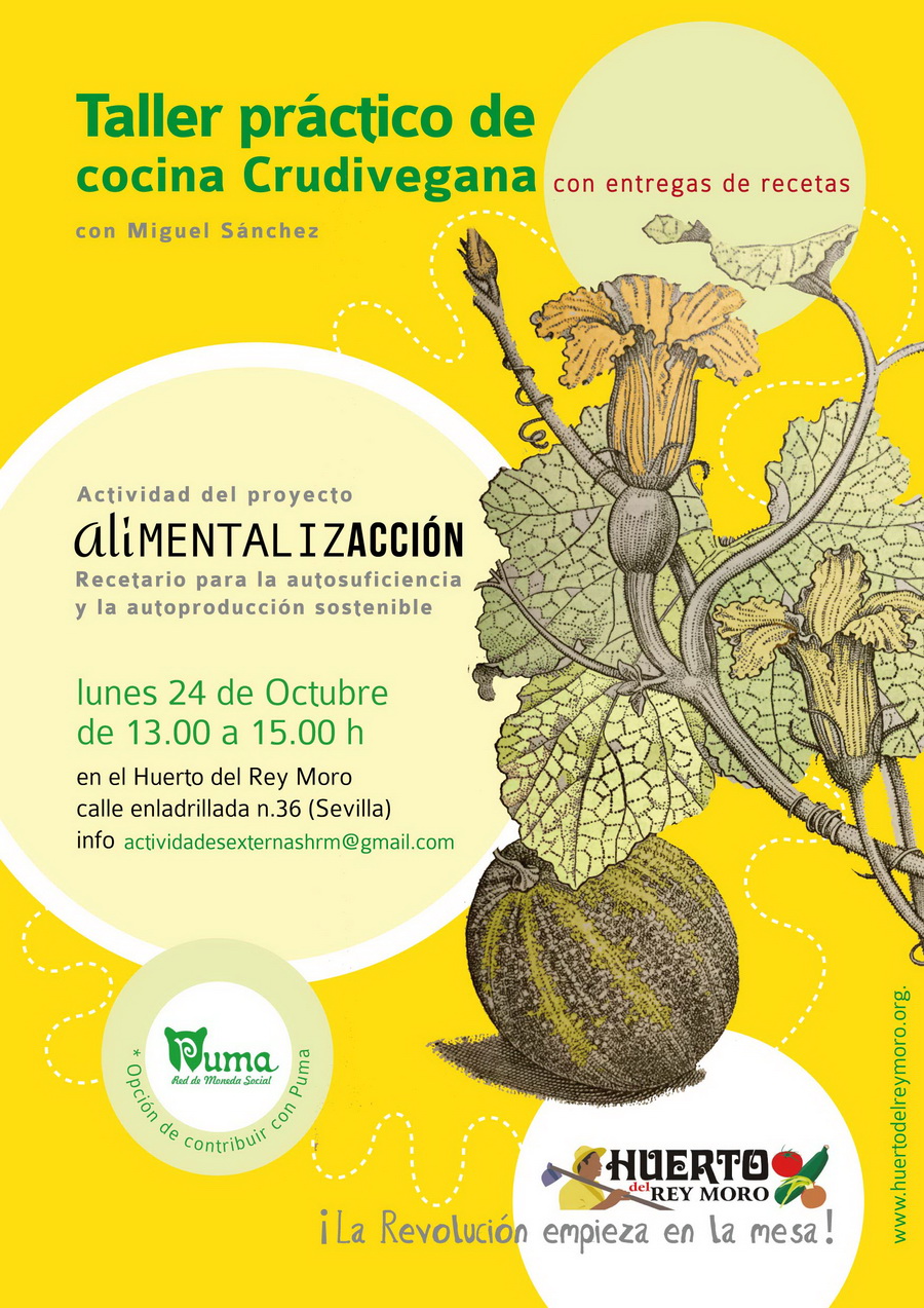 16-10-24taller-crudivegano